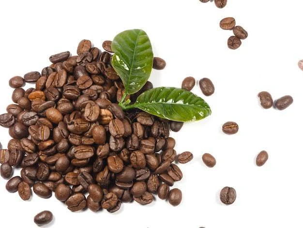 دانه قهوه بلند روبوستا پی بی 70% - عربیکا اوگاندا 30% اونس